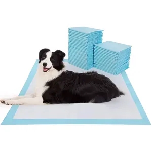 Dog and Puppy Pee Pads