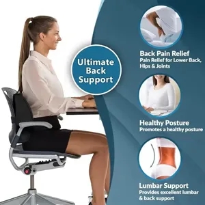 Lumbar Support Pillow