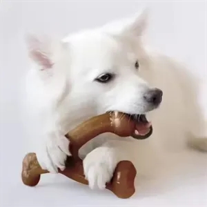 Pet Dog Bone Chew Toy