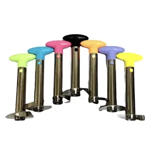 Stainless Steel Pineapple Corer And Slicer