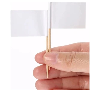 Toothpick Flag