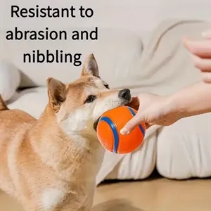Ultra Ball Dog Toy