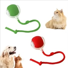 Automatic Teasing Cat Ball