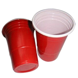 Ceap 17oz Disposable Plastic Cup