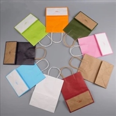 Kraft Gift Bag