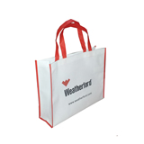 Non-woven Gift Bag