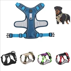 Pet Harness no pull