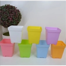 Plastic Plant Pot