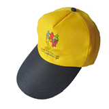 Promotion Traveling Hat