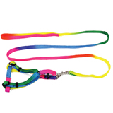 Rainbow Color Nylon Dog Rope