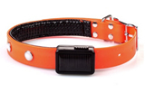 Solar Powered and Rechargeable LED Pet Collar
