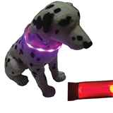 Imprinted LED dog collar